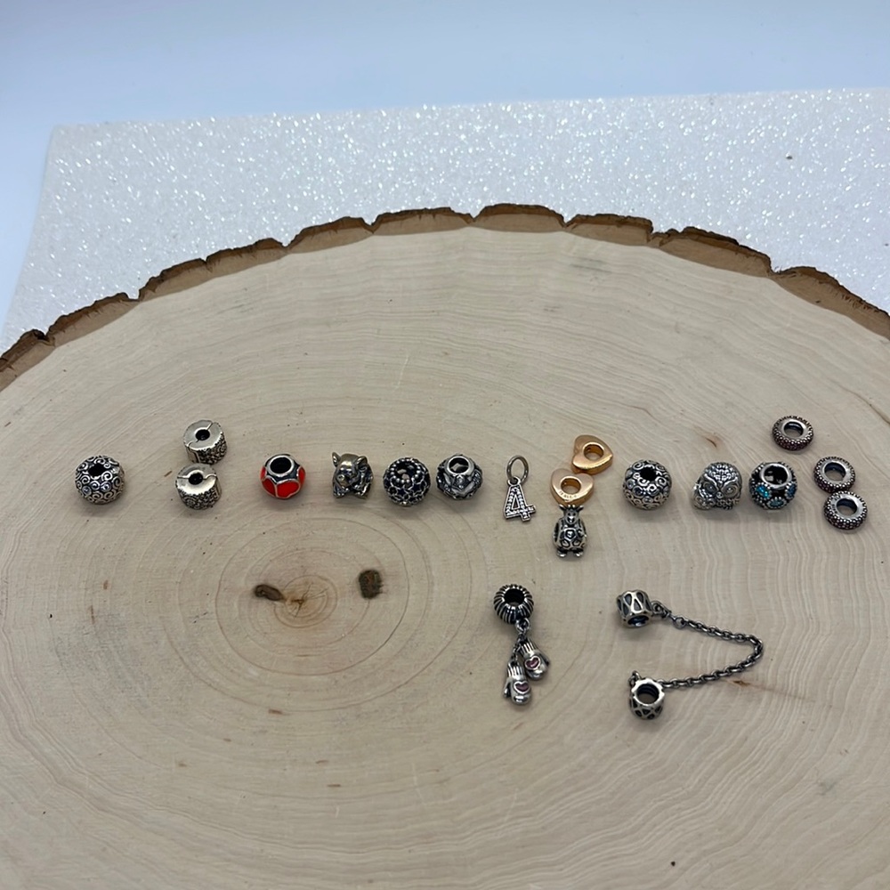 Pandora Charms